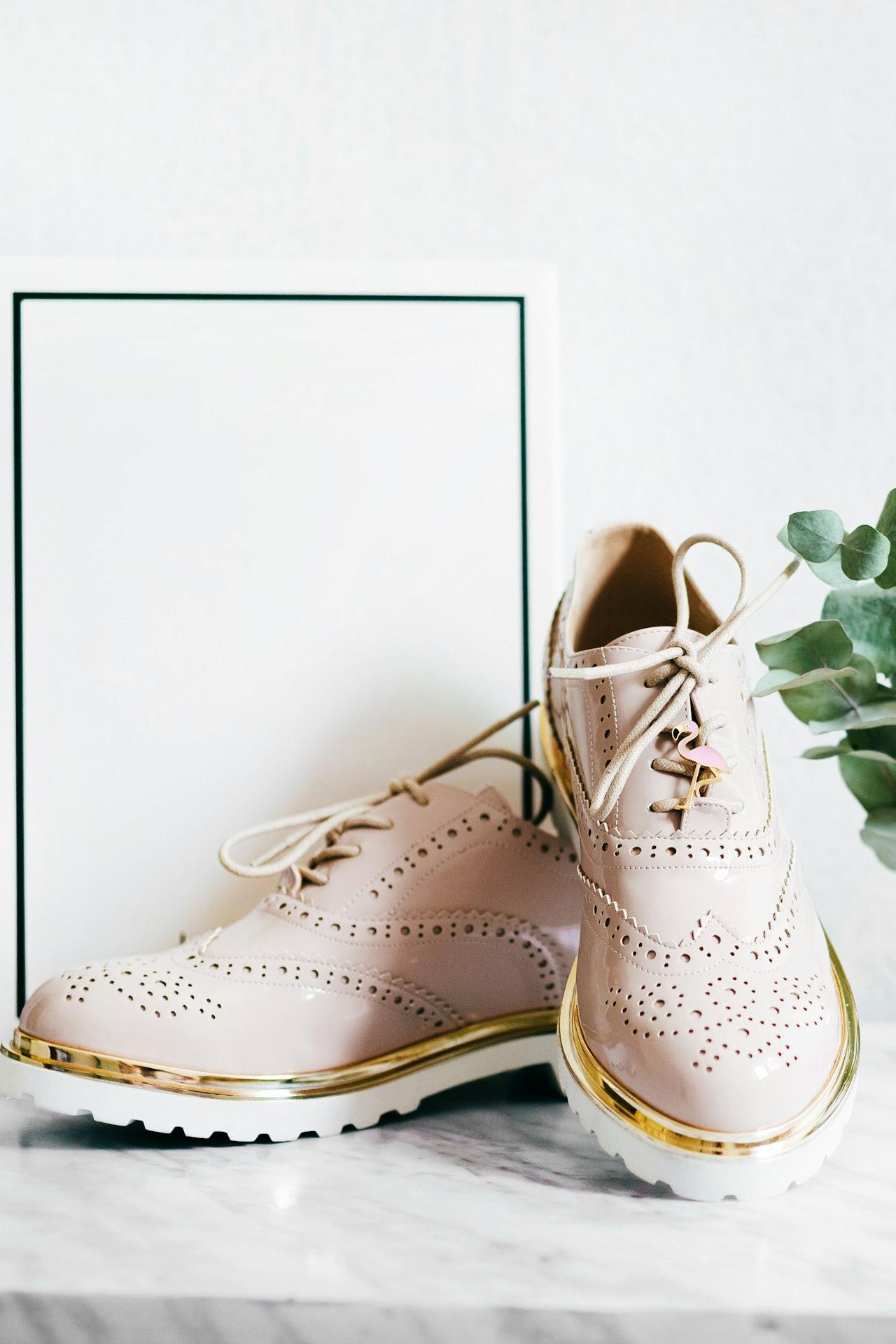 pair of shoes and white box near plant